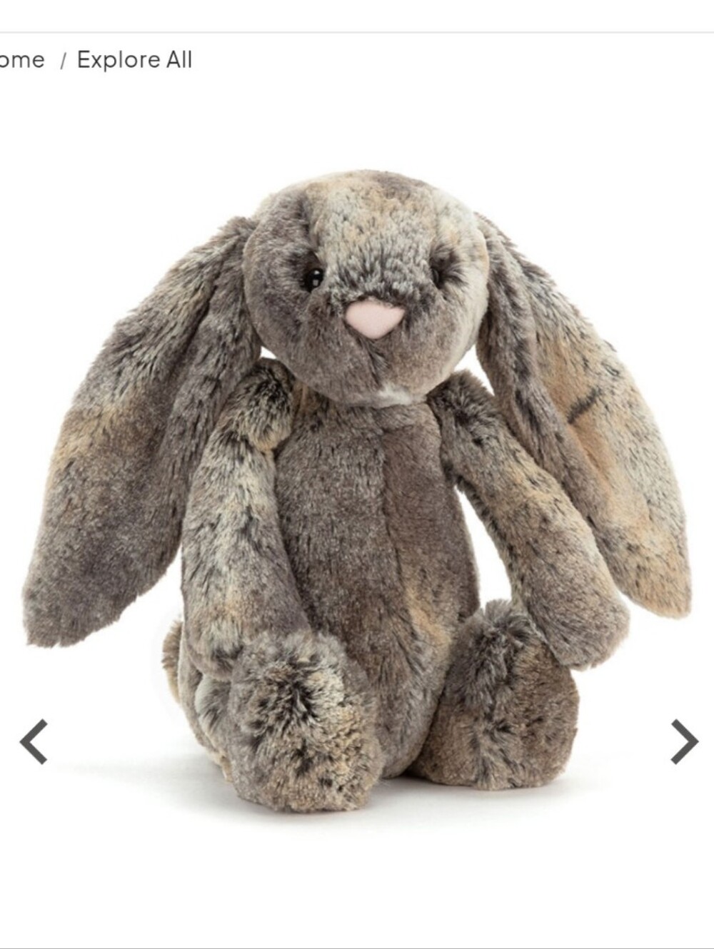 Jellycat London Bashful Woodland Bunny Stuffed Animal - Soft Plush Rabbit Sz M - Picture 12 of 12